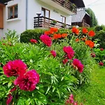 Haus Alpina アパート *