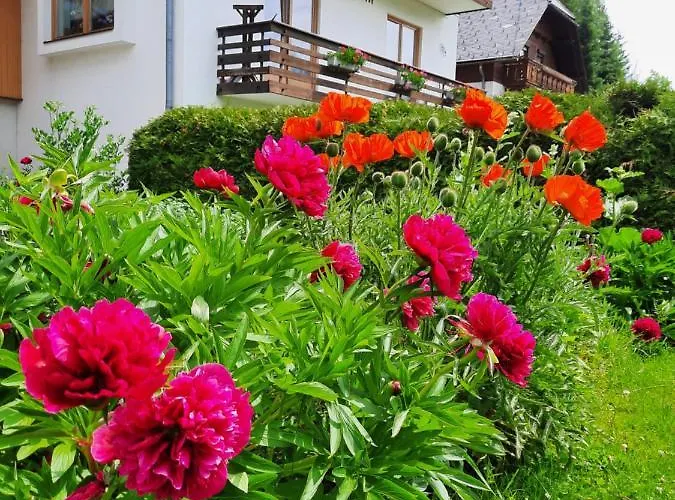 Haus Alpina Lejlighed *